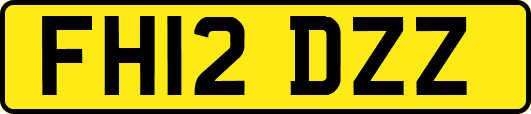 FH12DZZ