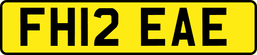 FH12EAE