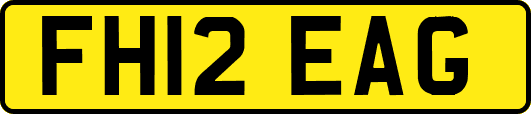 FH12EAG