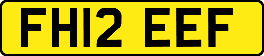 FH12EEF