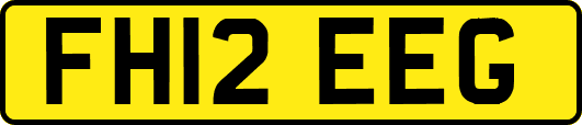 FH12EEG