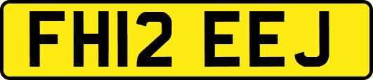 FH12EEJ