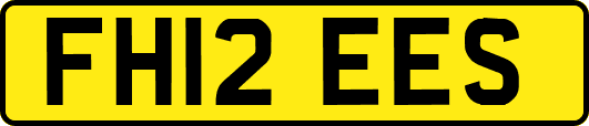 FH12EES