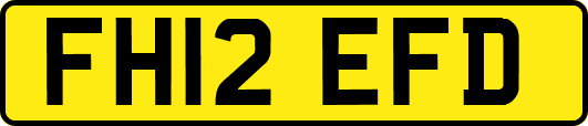 FH12EFD