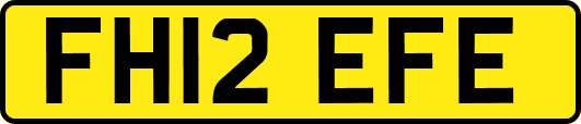 FH12EFE