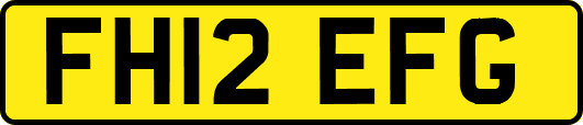 FH12EFG
