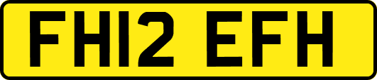 FH12EFH