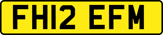 FH12EFM