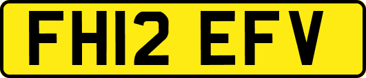 FH12EFV