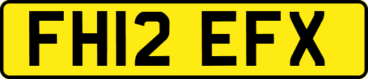 FH12EFX