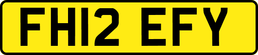 FH12EFY