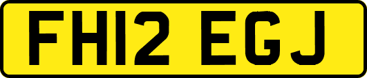 FH12EGJ