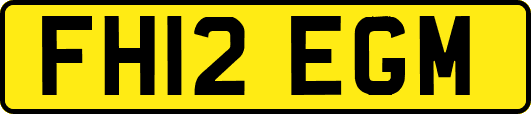 FH12EGM