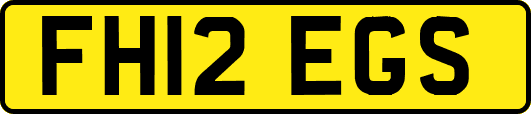 FH12EGS