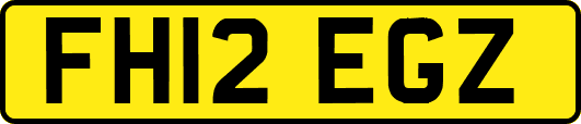 FH12EGZ