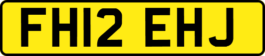 FH12EHJ