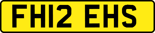 FH12EHS