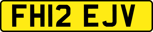FH12EJV