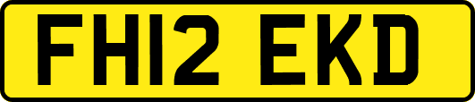 FH12EKD