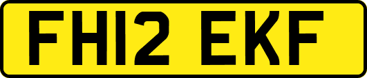 FH12EKF