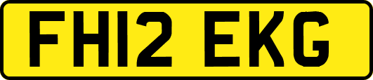 FH12EKG