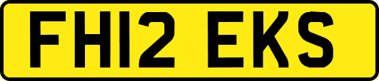 FH12EKS