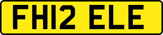 FH12ELE