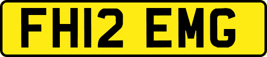 FH12EMG