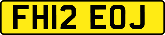 FH12EOJ