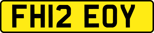 FH12EOY