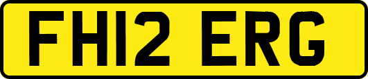 FH12ERG