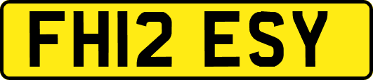 FH12ESY