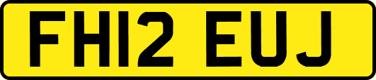FH12EUJ