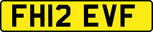 FH12EVF
