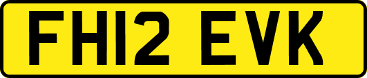 FH12EVK