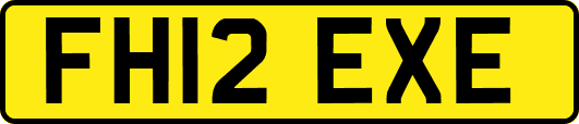 FH12EXE