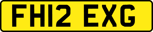 FH12EXG