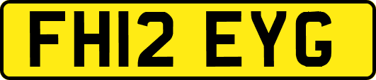 FH12EYG