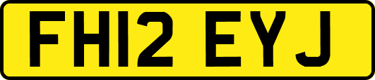 FH12EYJ