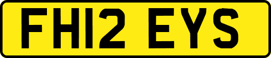 FH12EYS