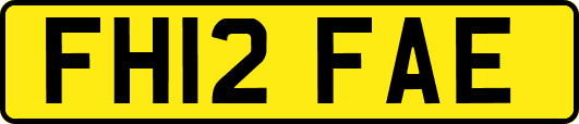 FH12FAE