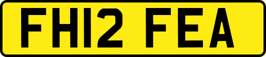 FH12FEA