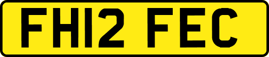 FH12FEC