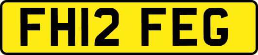 FH12FEG