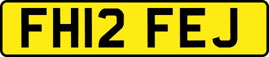 FH12FEJ