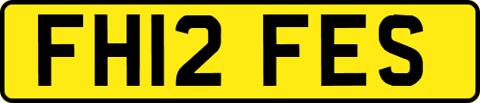 FH12FES