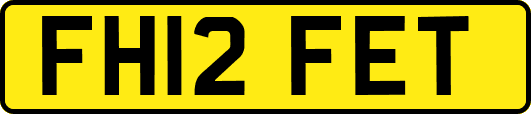 FH12FET