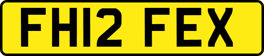 FH12FEX