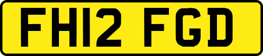 FH12FGD