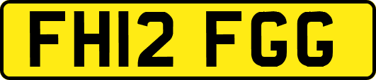 FH12FGG